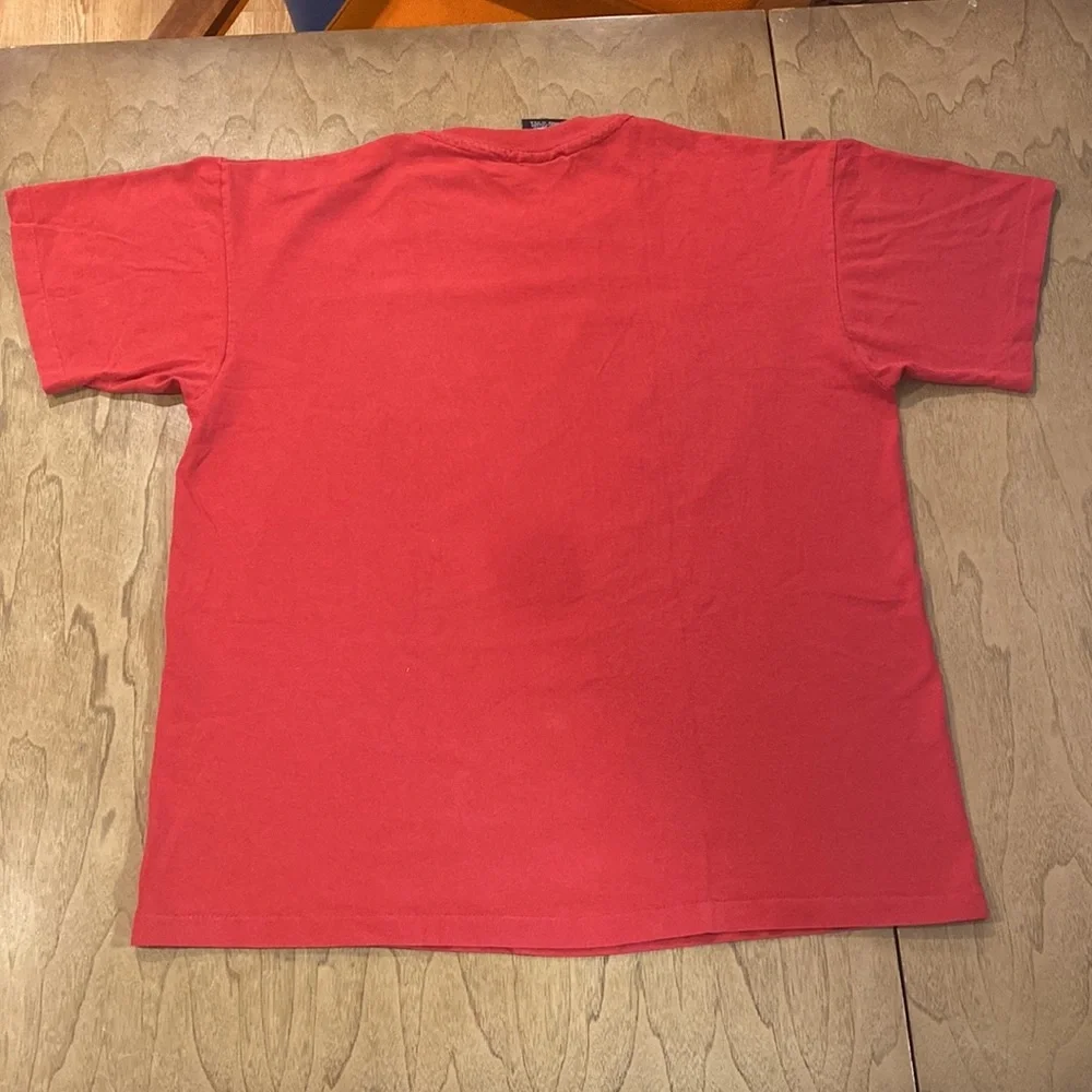 Vintage SMASHING PUMPKINS Pisces Iscariot Era Distressed TShirt Size XLarge 1994 - Picture 7 of 9